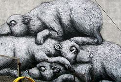 Nowy Świat od tyłu