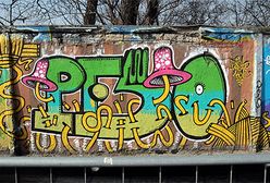 Kontrowersyjny mur