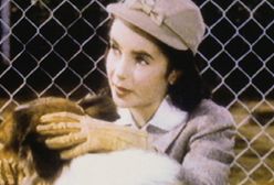 Zmarła gwiazda kina Elizabeth Taylor