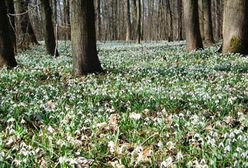 Pożegnaliśmy zimę