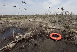 Rok po ekologicznej katastrofie
