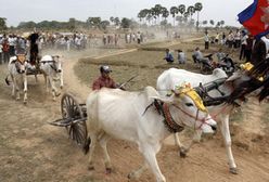 Nowy Rok w Kambodży