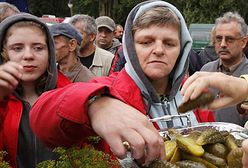 Takich ogóreczków jeszcze nie jadłeś