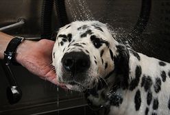 Jak minął tydzień w Polsce