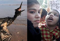 Miną lata nim wszystko wróci do normy