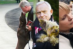 Komu pies liże twarz?