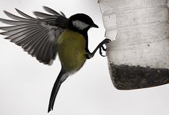 To zdarzyło się w Polsce!