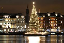 Najpiękniejsze choinki świąteczne