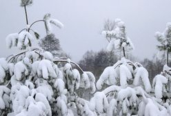 Zima nie ustępuje