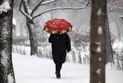 Europa pod śniegiem