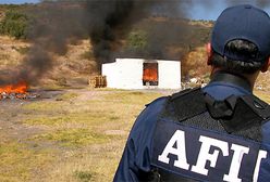 Meksyk uwalnia się od narkotyków