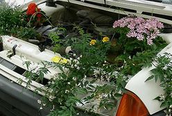 Zaskoczą cię pomysłem