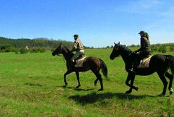 Sposób na udaną majówkę