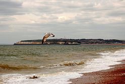 Wielka Brytania okiem internauty