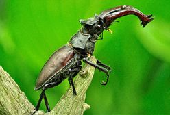 Ostatni weekend wiosny