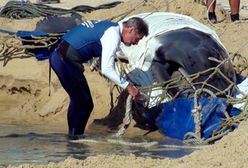 Wyrzucony przez morze