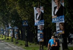 Politycy na słupach