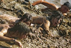 Ostatnie chwile Woodstocka