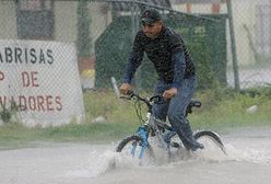 Dolly hasa po Ameryce