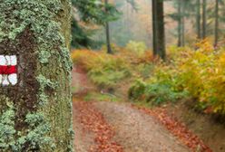 Bieszczadzka jesień