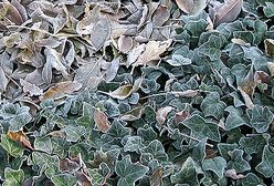 Przyszła nieoczekiwanie