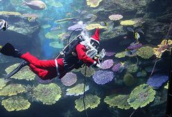 Podwodny Święty Mikołaj