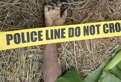 Śmiertelne ofiary walki wyborczej