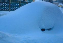 Zgadnij, co jest pod śniegiem