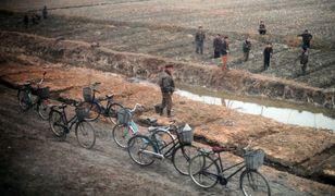 Korea Południowa ostrzega przed widmem nowego głodu w Korei Północnej. Również ornitolodzy mają swoje podejrzenia