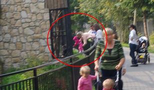 Gdy do zoo przychodzi ktoś, kto nie umie się zachować...