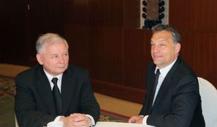 Czy w Polsce możliwy jest System Orbána?