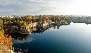 Koniec walki o Zakrzówek. Miasto odkupiło ziemię od dewelopera