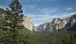 Park Narodowy Yosemite zagrożony dżumą