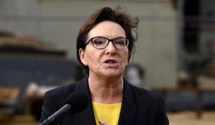 Paweł Lisicki: kieszonkowy zapateryzm w natarciu