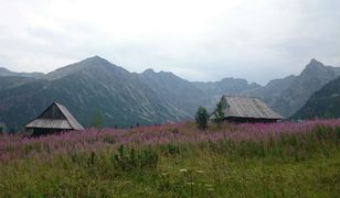 Spacerował po Dolinie Kościeliskiej z... karabinkiem maszynowym w ręku