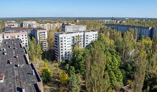 Życie po Czarnobylu