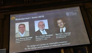 Nagroda Nobla z chemii przyznana. Laureatami: Jean-Pierre Sauvage, Sir J. Fraser Stoddart i Bernarde L. Feringa