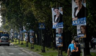 Politycy na słupach