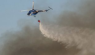 Pożar lasu na Śląsku - zdjęcia Internauty