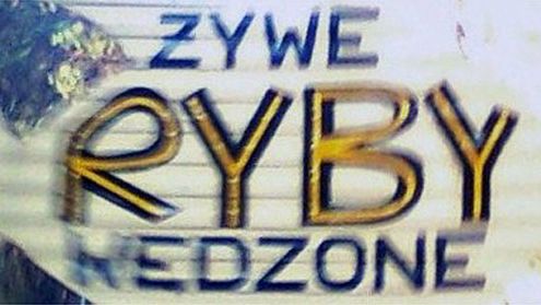 Obraz