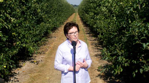 Premier Ewa Kopacz na konferencji prasowej w Warce