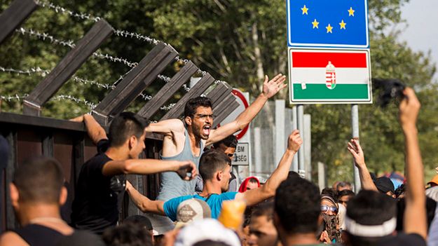 Migranci na granicy serbsko-węgierskiej