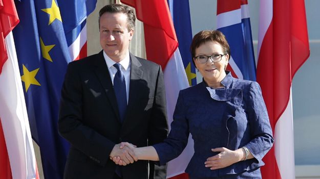 Ewa Kopacz i David Cameron