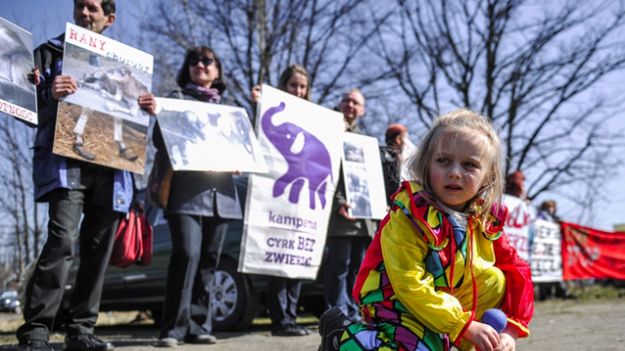 Jeden z protestów przeciwko występowaniu zwierząt w cyrku.