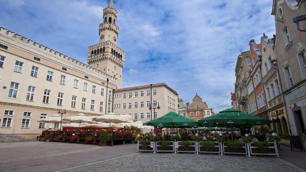 Rynek w Opolu
