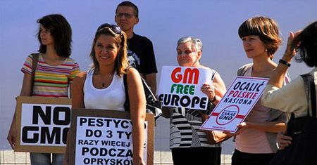 Protest przeciw GMO