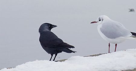 Bałtyk się topi
