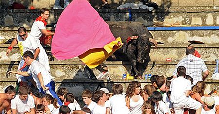 Rozjuszony byk zatakował publiczność