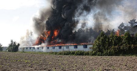Płonący kurnik