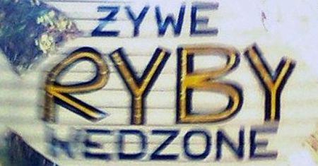 Ręczniki w mięsnym